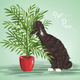 8 Low-Maintenance, Pet-Safe Houseplants Anyone Can Grow